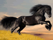 New Horse Puzzle